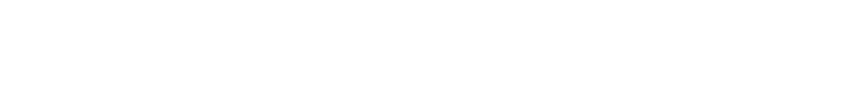 SolidMotion